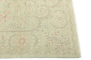 Muted Light Green Floral Transitional 6x9 Oriental Rug
