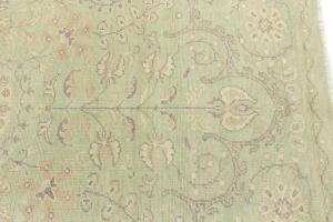 Muted Light Green Floral Transitional 6x9 Oriental Rug