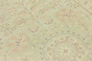 Muted Light Green Floral Transitional 6x9 Oriental Rug