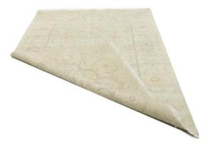 Muted Light Green Floral Transitional 6x9 Oriental Rug
