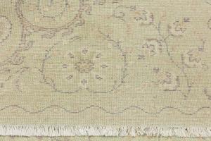 Muted Light Green Floral Transitional 6x9 Oriental Rug