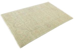 Muted Light Green Floral Transitional 6x9 Oriental Rug
