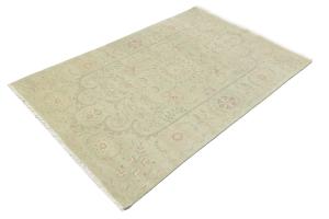 Muted Light Green Floral Transitional 6x9 Oriental Rug