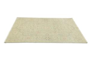 Muted Light Green Floral Transitional 6x9 Oriental Rug