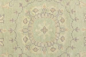 Muted Light Green Floral Transitional 6x9 Oriental Rug