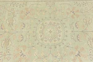 Muted Light Green Floral Transitional 6x9 Oriental Rug