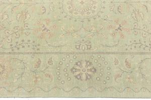 Muted Light Green Floral Transitional 6x9 Oriental Rug
