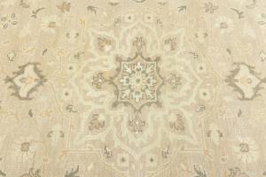 Muted Pinkish Beige Floral 8X10 Transitional Oriental Area Rug