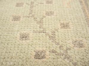 Muted Light Green Floral Transitional 8x10 Oriental Rug