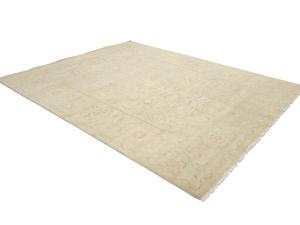 Muted Light Green Floral Transitional 8x10 Oriental Rug