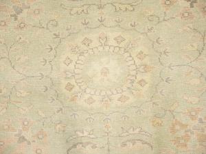 Muted Light Green Floral Transitional 8x10 Oriental Rug