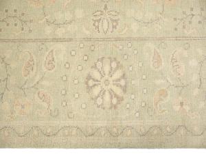 Muted Light Green Floral Transitional 8x10 Oriental Rug