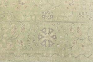 Muted Light Green Floral 9x12 Transitional Oriental Rug