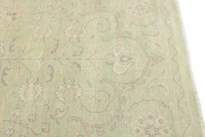Muted Light Green Floral 9x12 Transitional Oriental Rug