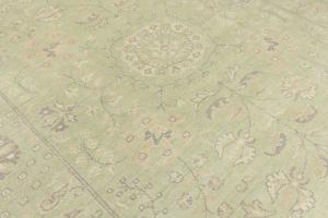 Muted Light Green Floral 9x12 Transitional Oriental Rug