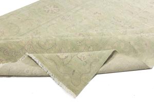 Muted Light Green Floral 9x12 Transitional Oriental Rug