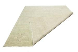 Muted Light Green Floral 9x12 Transitional Oriental Rug