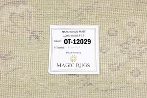 Muted Light Green Floral 9x12 Transitional Oriental Rug