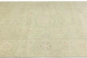 Muted Light Green Floral 9x12 Transitional Oriental Rug