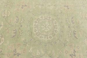 Muted Light Green Floral 9x12 Transitional Oriental Rug