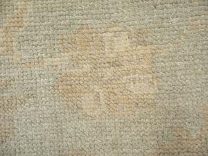 Muted Aqua Green Floral 9x12Transitional Oriental Rug