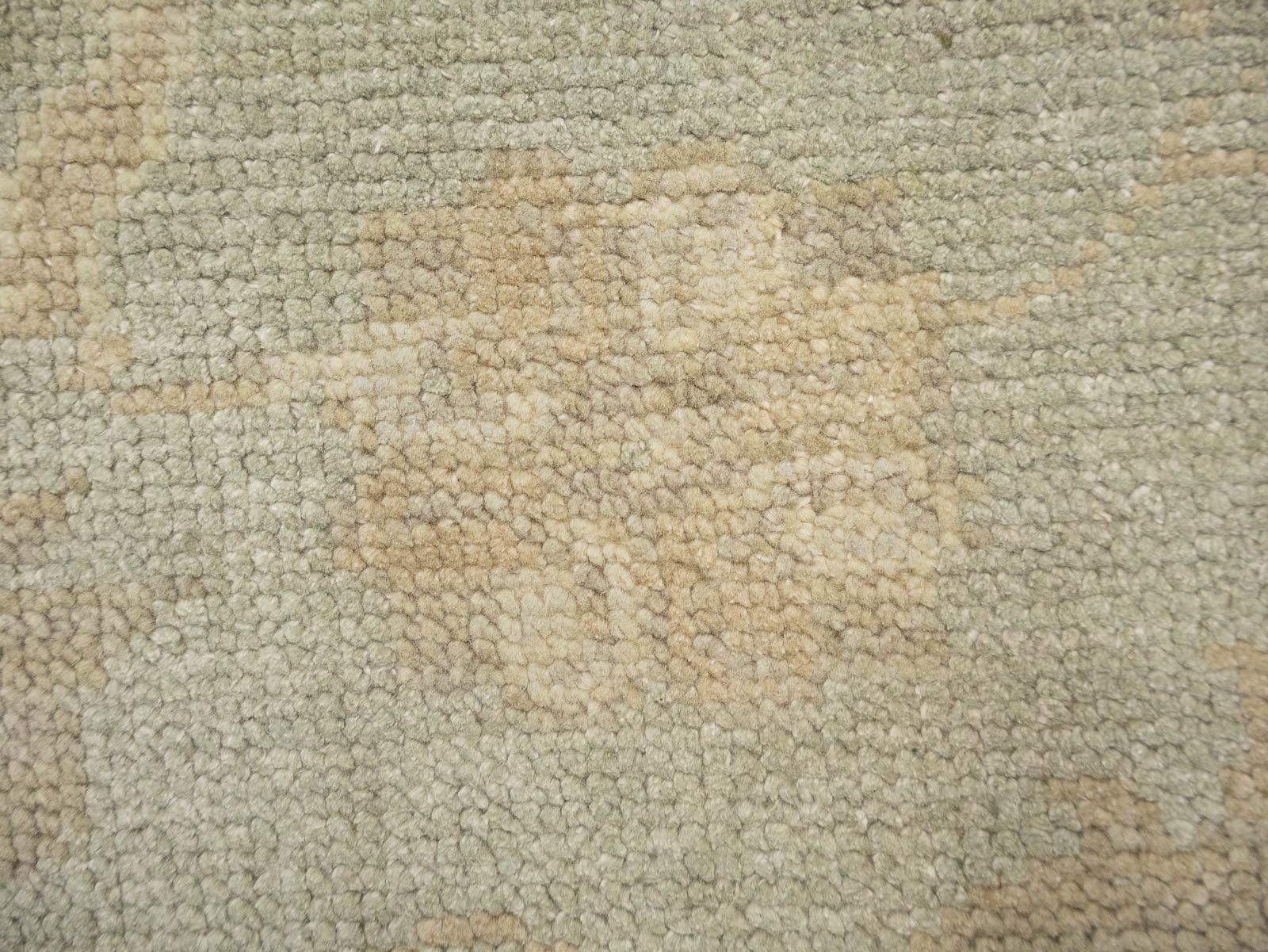 Muted Aqua Green Floral 9x12Transitional Oriental Rug