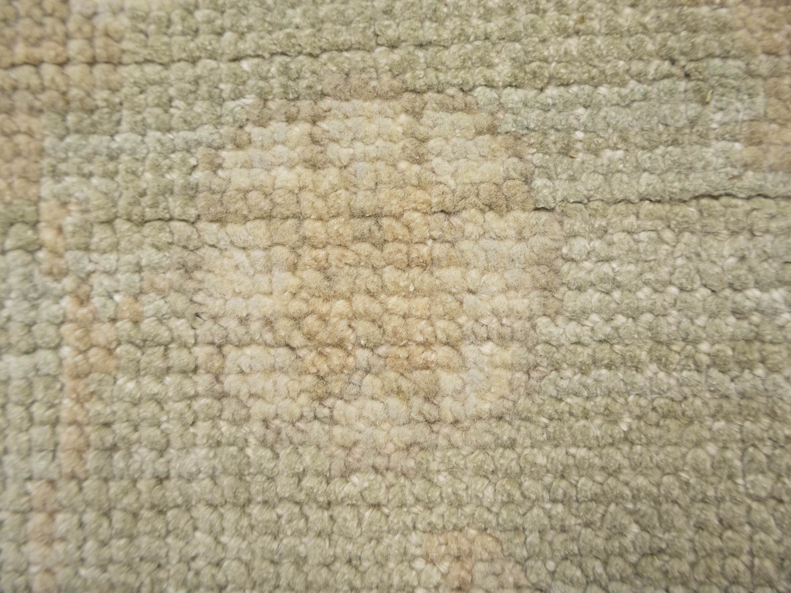 Muted Aqua Green Floral 9x12Transitional Oriental Rug