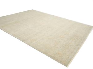 Muted Aqua Green Floral 9x12Transitional Oriental Rug