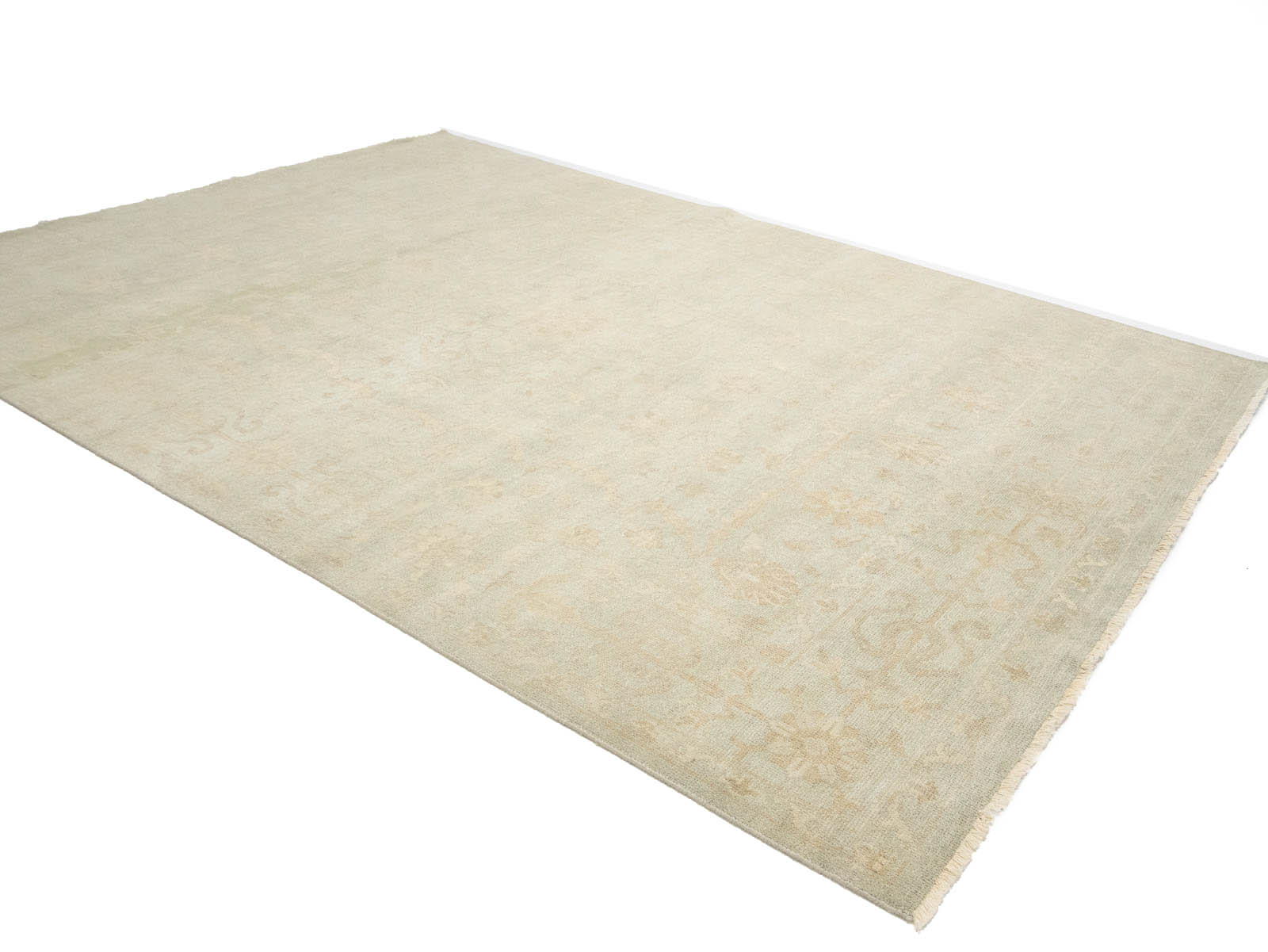 Muted Aqua Green Floral 9x12Transitional Oriental Rug