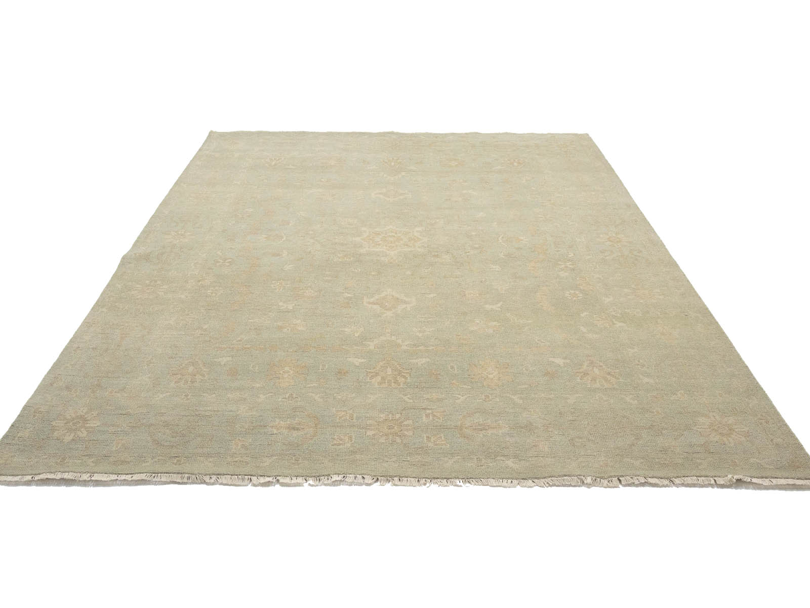 Muted Aqua Green Floral 9x12Transitional Oriental Rug