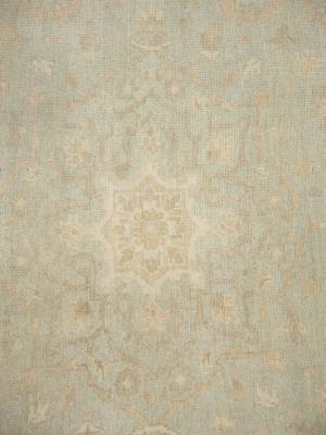 Muted Aqua Green Floral 9x12Transitional Oriental Rug