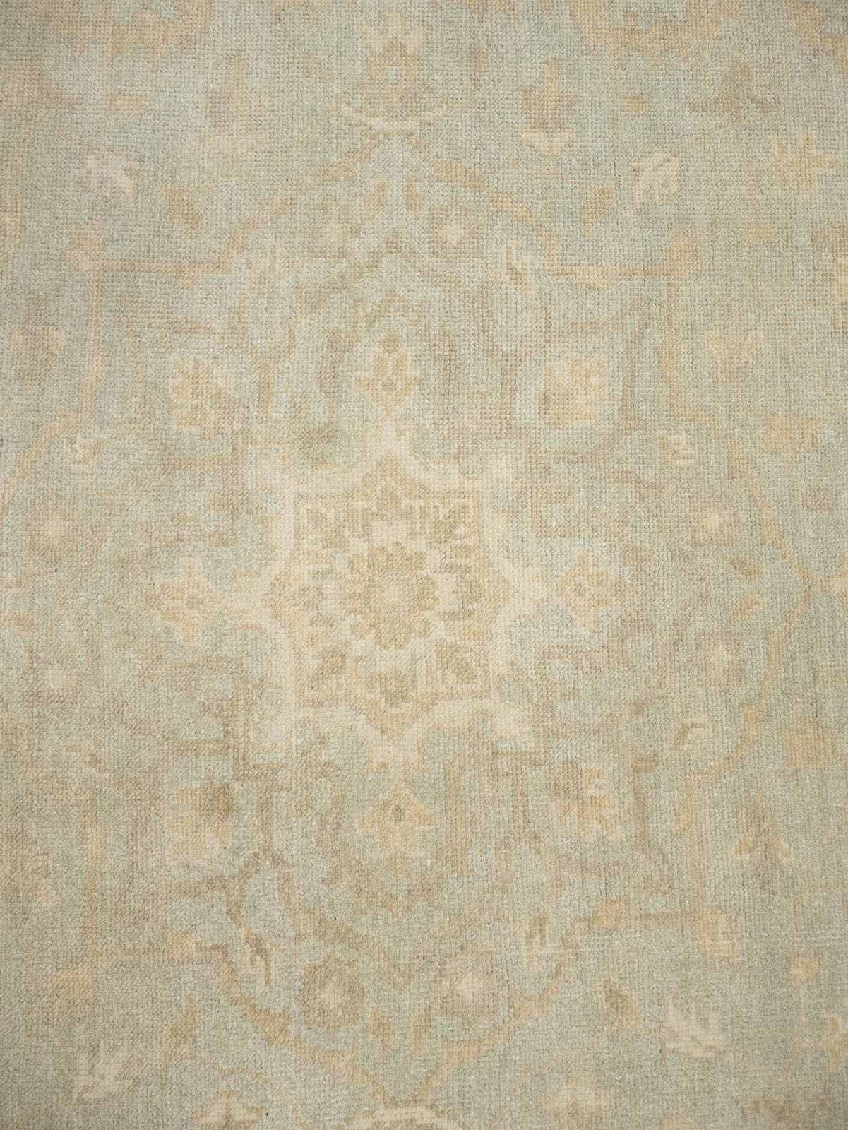 Muted Aqua Green Floral 9x12Transitional Oriental Rug