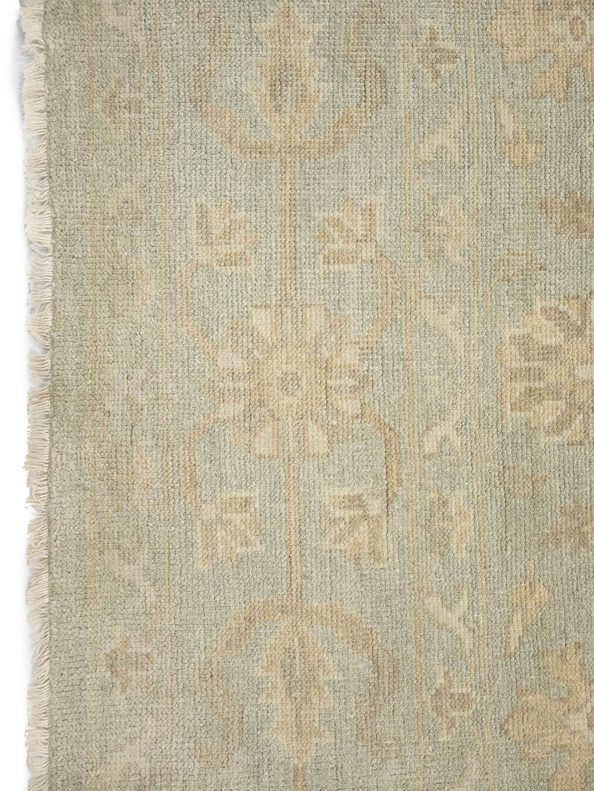 Muted Aqua Green Floral 9x12Transitional Oriental Rug
