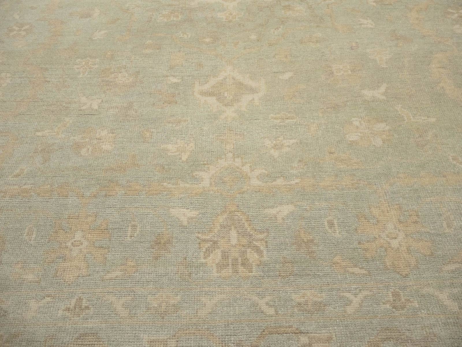 Muted Aqua Green Floral 9x12Transitional Oriental Rug