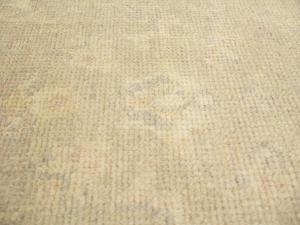 Muted Beige Floral 2'6X18 Transitional Oriental Runner Rug