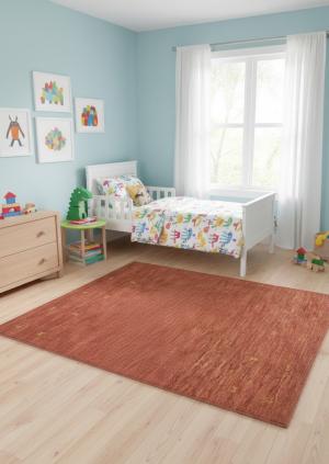 Solid Rusty Red 4X6 Oriental Modern Rug