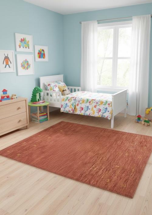 Solid Rusty Red 4X6 Oriental Modern Rug