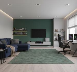 Solid Green 5X5 Oriental Modern Square Rug