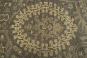 Brown Floral 5'7X8'5 Transitional Oriental Rug