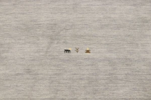 Gray Tribal 5X8 Gabbeh Modern Rug