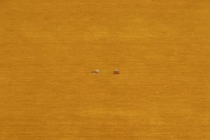 Marigold Tribal 8X10 Gabbeh Modern Rug