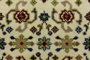 Cream Floral 3X5 Indo-Mahal Oriental Rug