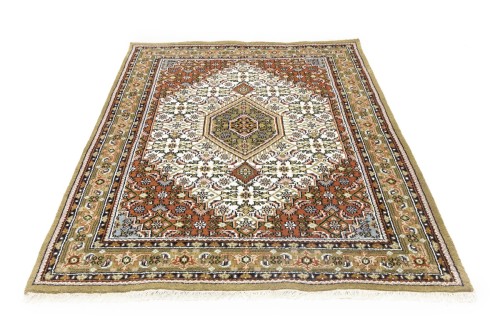 Cream Floral Tribal 6X8 Indo-Bidjar Oriental Rug