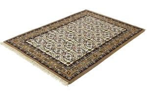Cream Floral Tribal 4X6 Indo-Bidjar Oriental Rug
