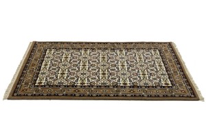 Cream Floral Tribal 4X6 Indo-Bidjar Oriental Rug