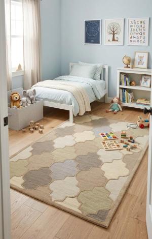 Multicolored Trellis 5X8 Hand-Tufted Modern Rug
