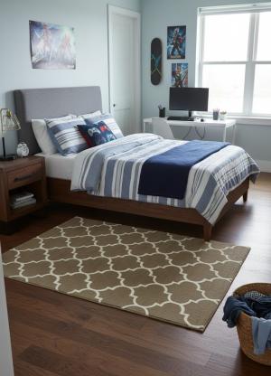 5'0 X 8'0 Hand-Tufted Trellis Contemporary Wool Rug