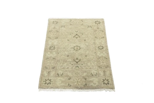 Muted Pinkish Beige Floral 2X3 Transitional Oriental Rug