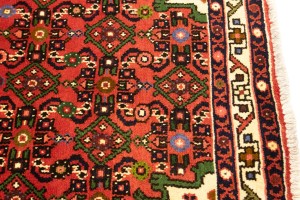 Bittersweet Red Floral 3X5 Hamedan Persian Rug