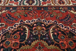 Vintage Red Floral 8x10 Bakhtiari Persian Oriental Rug